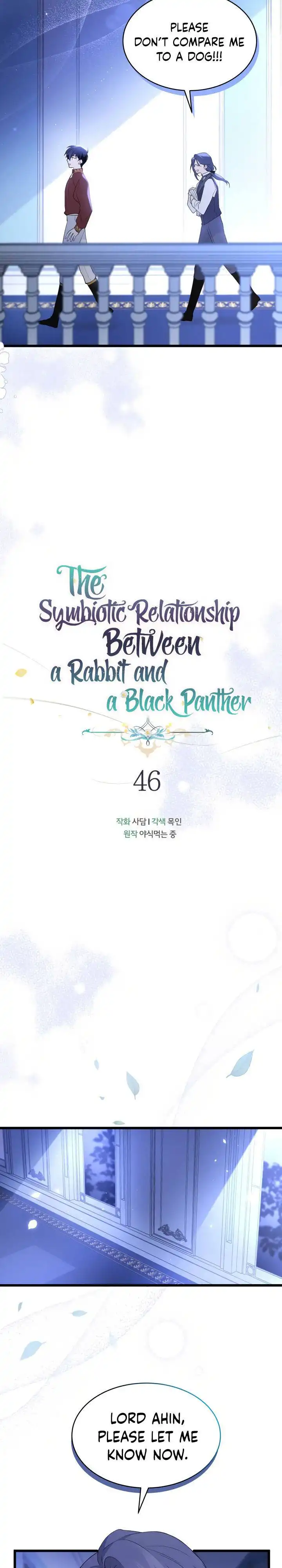 The Symbiotic Relationship Between a Panther and a Rabbit Chapter 46 5